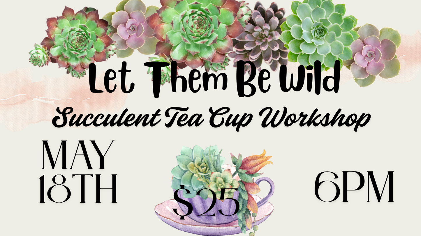 Tea Cup Succulent Workshop
