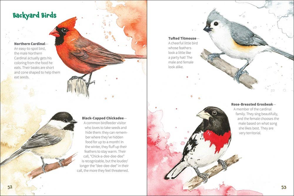 Nature Explorer - Kids' Book