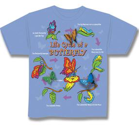 Butterfly life cycle