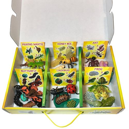 Life Cycle Figurines 24 Pc. Set