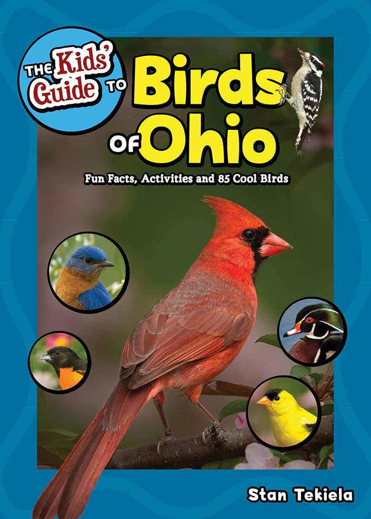 Kids Guide to Birds of Ohio