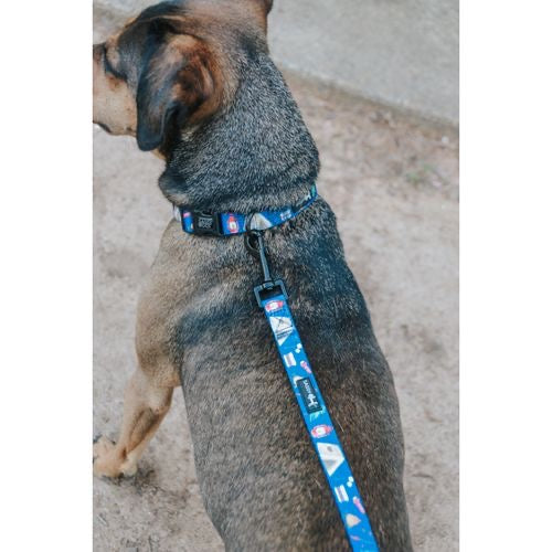 Camping Dog Collar