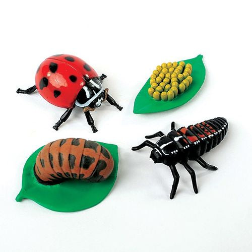 Life Cycle Figurines 24 Pc. Set