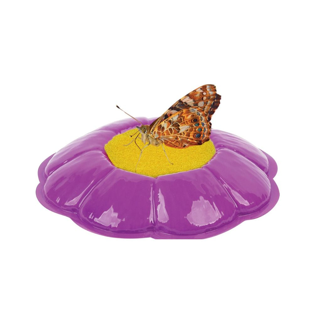 Butterfly Garden