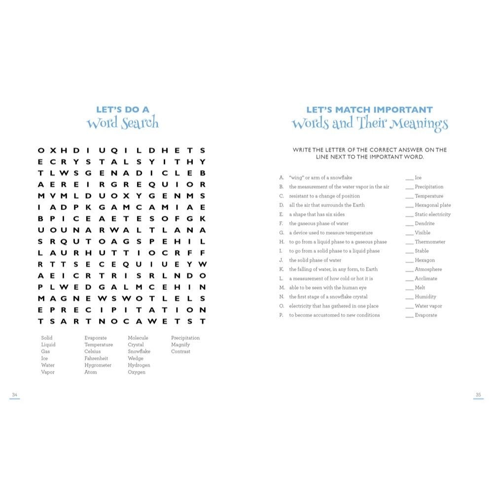 Snowflake Science: Activity Book