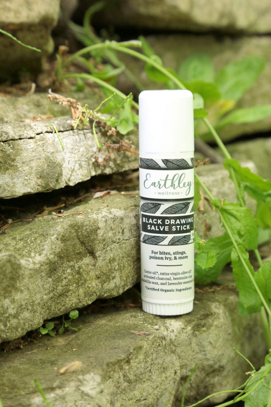 Earthley Black Drawing Salve
