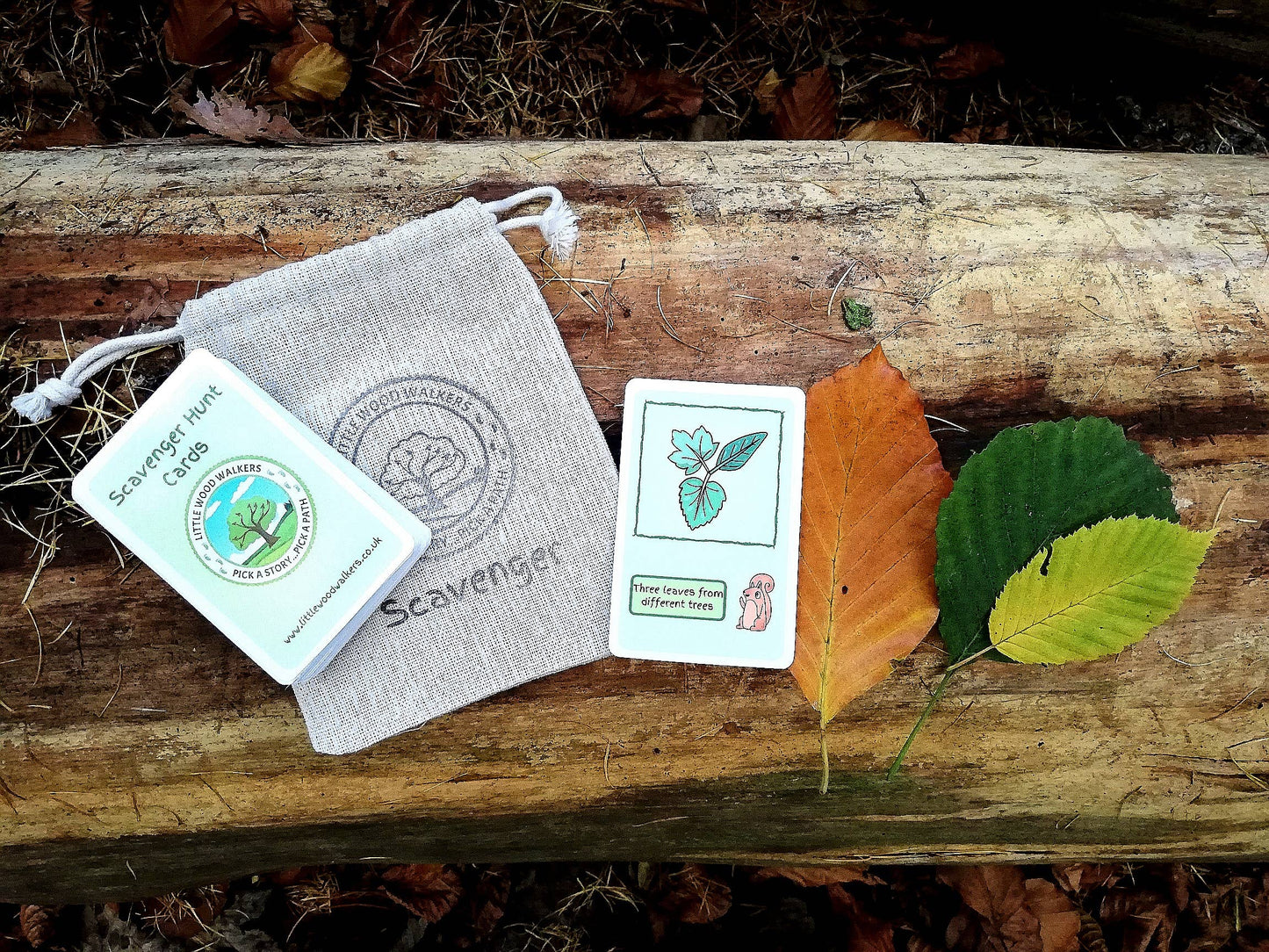 Nature Scavenger Hunt Cards