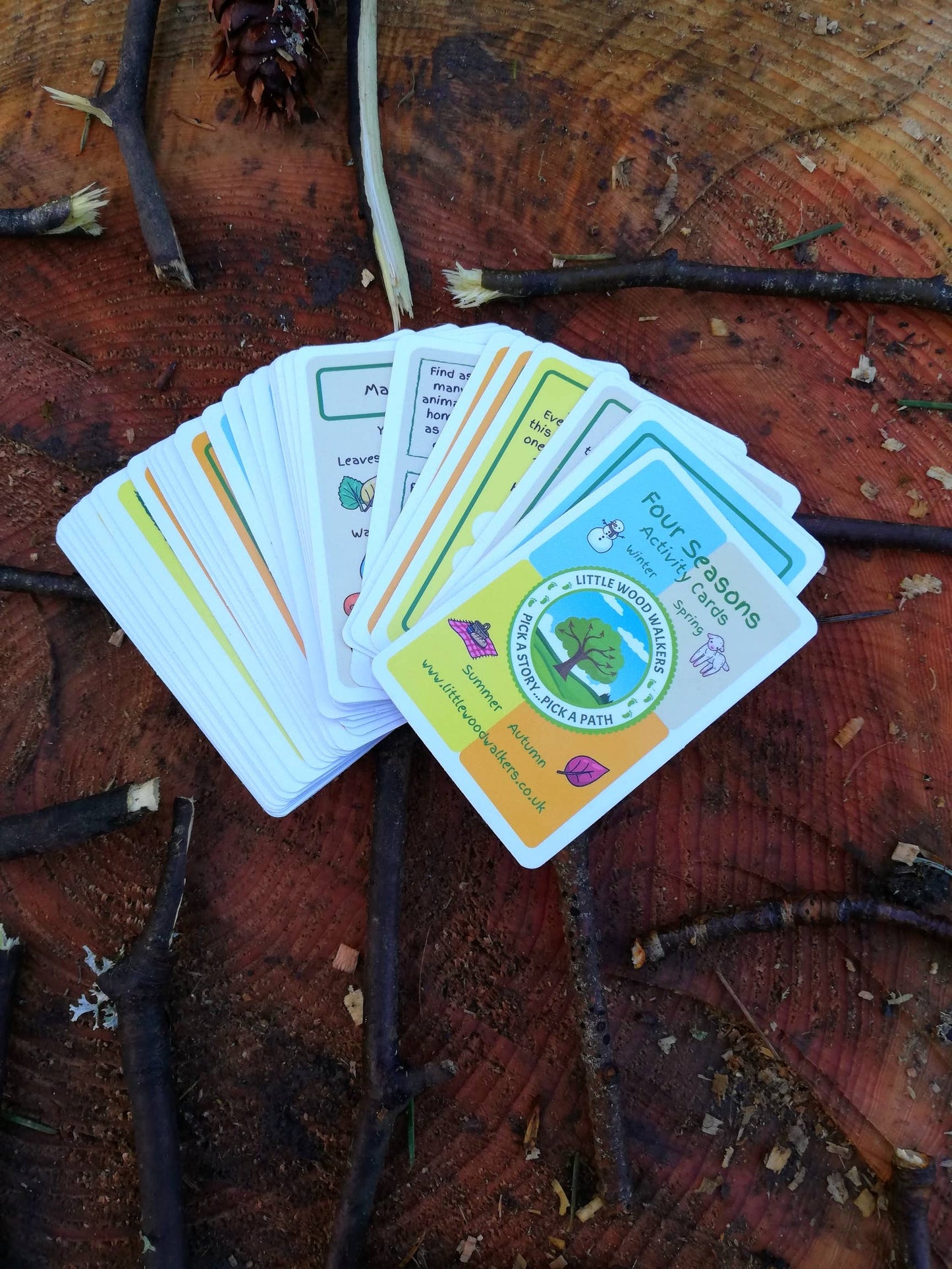 Four Seasons Nature Cards