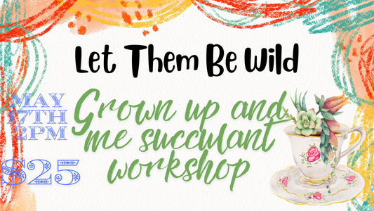 Grown Up and me Tea Cup Succulent Workshop