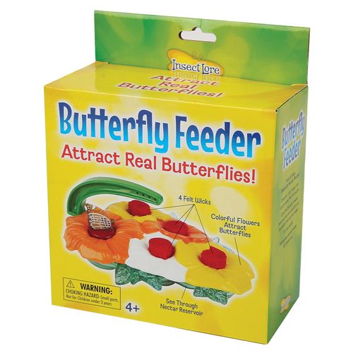 Butterfly feeder