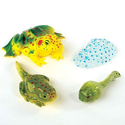 Life Cycle Figurines 24 Pc. Set
