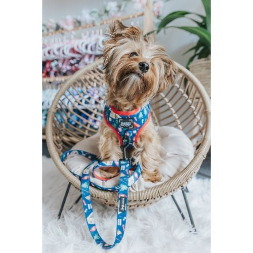 Camping Fabric Dog Leash