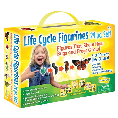 Life Cycle Figurines 24 Pc. Set