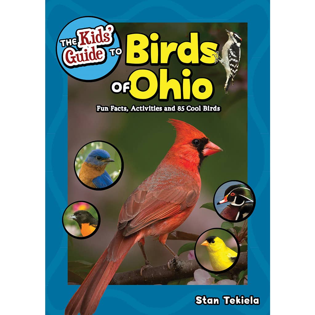 Kids guide to birds of Ohio